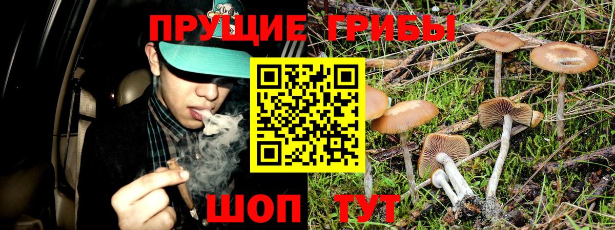 Галлюциногенные грибы GOLDEN TEACHER Саранск